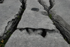 Sheshymore Limestone with classic kharstified exposures of the disolving fracture margins, Grikes, of tabular blocks of limestone pavement, Clints. Widened driven by post glacial disolution (McNamara, & Hennessy, 2010). Variscan folding initiated the fractures (Coller, 1984).